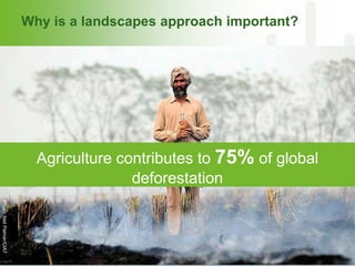 CGIAR and Healthy Landscapes