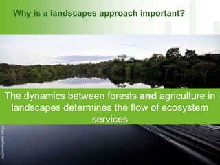 CGIAR and Healthy Landscapes