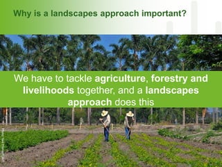 CGIAR and Healthy Landscapes