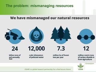 CGIAR and Healthy Landscapes