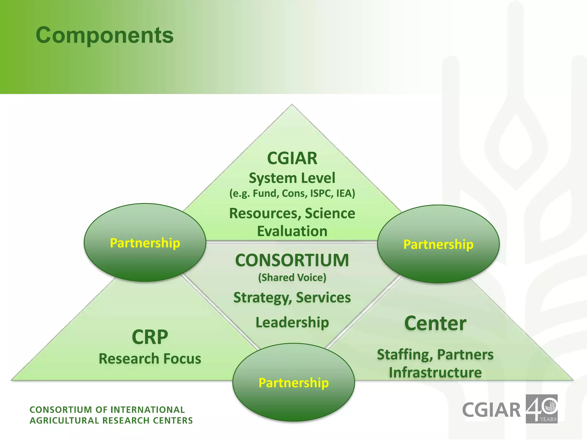 clearly defines risks and assumptions