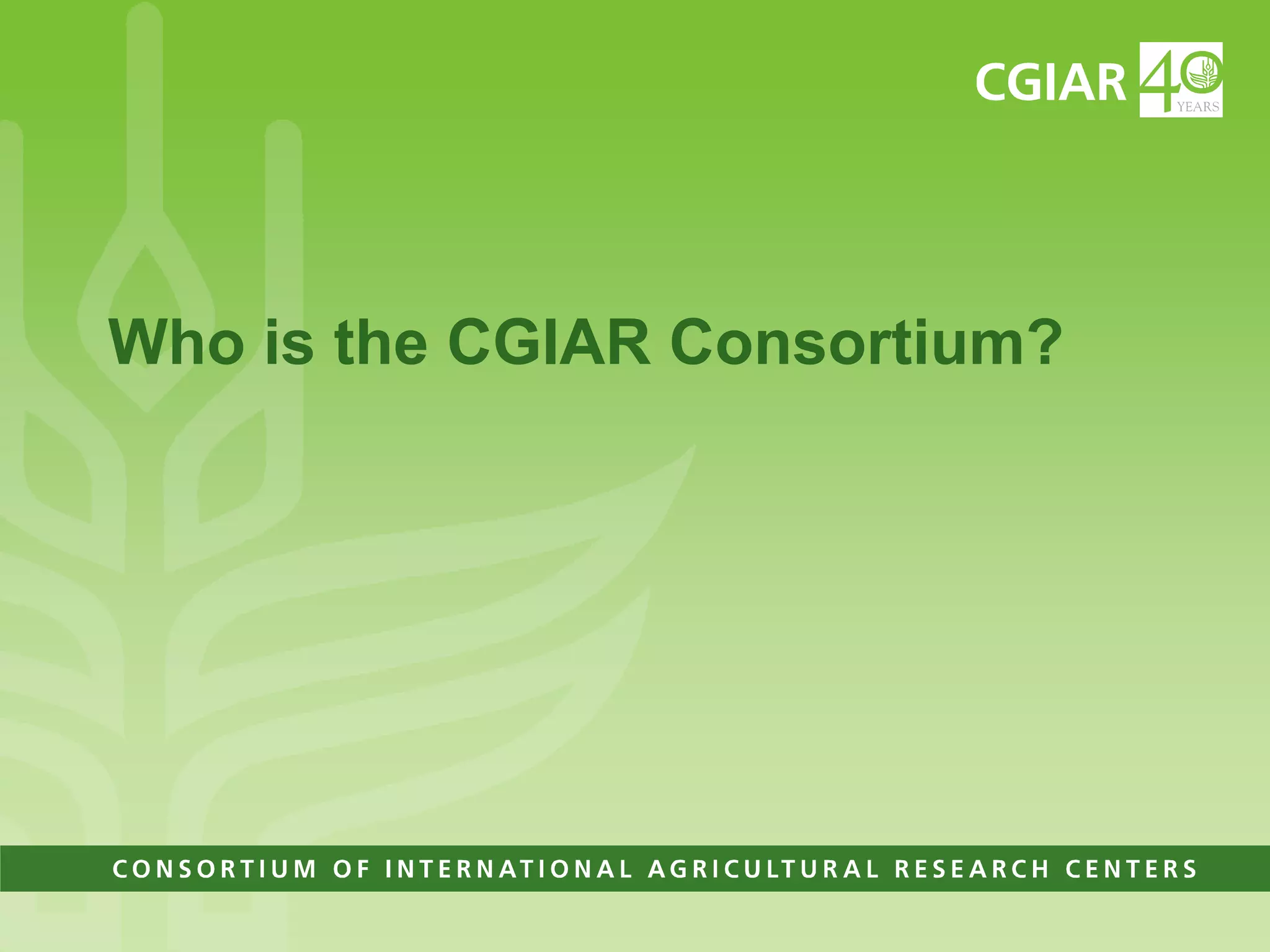 Who is the CGIAR Consortium?