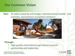 Institutional Frameworks, Experience with CGIAR reform (PPT format)