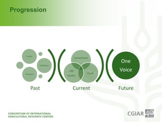 Institutional Frameworks, Experience with CGIAR reform (PPT format)