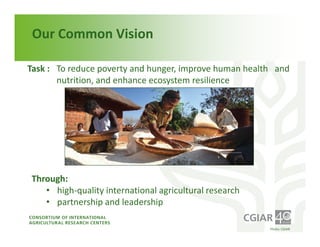 Institutional Frameworks, Experience with CGIAR reform