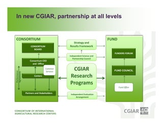 Institutional Frameworks, Experience with CGIAR reform
