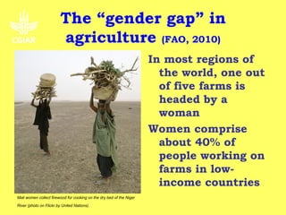 The “gender gap” in
                         agriculture (FAO, 2010)
                                                                      In most regions of
                                                                        the world, one out
                                                                        of five farms is
                                                                        headed by a
                                                                        woman
                                                                      Women comprise
                                                                        about 40% of
                                                                        people working on
                                                                        farms in low-
                                                                        income countries
Mali women collect firewood for cooking on the dry bed of the Niger

River (photo on Flickr by United Nations).
 