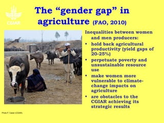 The “gender gap” in
                           agriculture (FAO, 2010)
                                       Inequalities between women
                                         and men producers:
                                       • hold back agricultural
                                         productivity (yield gaps of
                                         20-25%)
                                       • perpetuate poverty and
                                         unsustainable resource
                                         use
                                       • make women more
                                         vulnerable to climate-
                                         change impacts on
                                         agriculture
                                       • are obstacles to the
                                         CGIAR achieving its
                                         strategic results
Photo P. Casier (CGIAR).
 