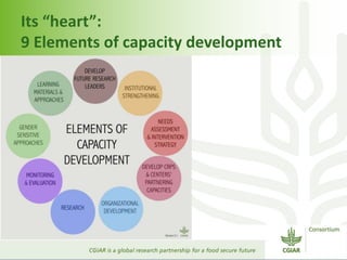 CGIAR Capacity Development Framework : Engaging with Partners