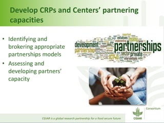 CGIAR Capacity Development Framework : Engaging with Partners
