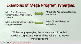CGIAR TransformationWhere are we going?