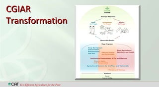 CGIAR TransformationWhere are we going?