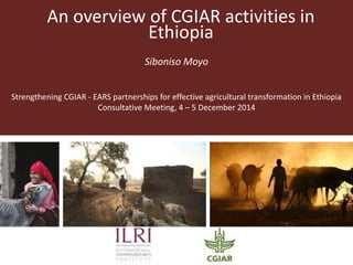 An overview of CGIAR activities in 
Ethiopia 
Siboniso Moyo 
Strengthening CGIAR - EARS partnerships for effective agricultural transformation in Ethiopia 
Consultative Meeting, 4 – 5 December 2014 
 