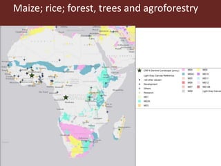 An overview of CGIAR activities in Ethiopia