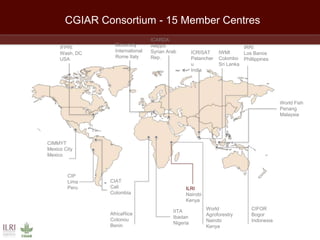 An overview of CGIAR activities in Ethiopia