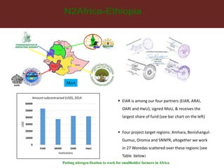 MoA 
 EIAR is among our four partners (EIAR, ARAI, 
OARI and HwU), signed MoU, & receives the 
largest share of fund (see bar chart on the left) 
 Four project target regions: Amhara, Benishangul- 
Gumuz, Oromia and SNNPR, altogether we work 
in 27 Woredas scattered over these regions (see 
Table below) 
Amount subcontracted (USD), 2014 
Putting nitrogen fixation to work for smallholder farmers in Africa 
60000 
50000 
40000 
30000 
20000 
10000 
0 
EIAR ARARI OARI HwU 
USD 
Institutions 
 