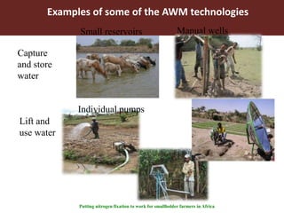 Examples of some of the AWM technologies 
Manual wells 
Small reservoirs 
Individual pumps 
Putting nitrogen fixation to work for smallholder farmers in Africa 
Capture 
and store 
water 
Lift and 
use water 
 