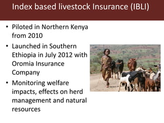 Index based livestock Insurance (IBLI) 
• Piloted in Northern Kenya 
from 2010 
• Launched in Southern 
Ethiopia in July 2012 with 
Oromia Insurance 
Company 
• Monitoring welfare 
impacts, effects on herd 
management and natural 
resources 
 