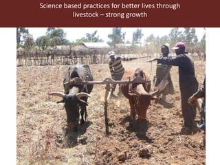 Science based practices for better lives through 
livestock – strong growth 
4 
 