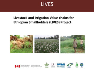 LIVES 
Livestock and Irrigation Value chains for 
Ethiopian Smallholders (LIVES) Project 
 