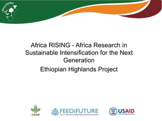 Africa RISING - Africa Research in 
Sustainable Intensification for the Next 
Generation 
Ethiopian Highlands Project 
 