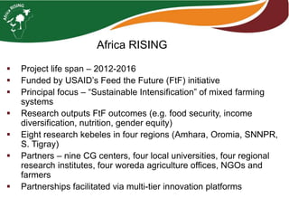 Africa RISING 
 Project life span – 2012-2016 
 Funded by USAID’s Feed the Future (FtF) initiative 
 Principal focus – “Sustainable Intensification” of mixed farming 
systems 
 Research outputs FtF outcomes (e.g. food security, income 
diversification, nutrition, gender equity) 
 Eight research kebeles in four regions (Amhara, Oromia, SNNPR, 
S. Tigray) 
 Partners – nine CG centers, four local universities, four regional 
research institutes, four woreda agriculture offices, NGOs and 
farmers 
 Partnerships facilitated via multi-tier innovation platforms 
 