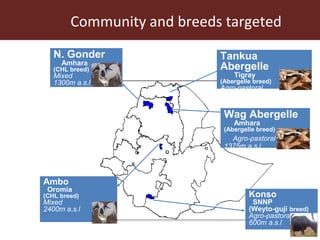 Overview of International Livestock Research (ILRI) activities in Ethiopia