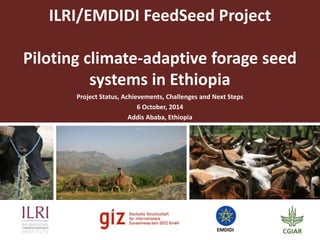 Overview of International Livestock Research (ILRI) activities in Ethiopia