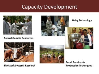 Overview of International Livestock Research (ILRI) activities in Ethiopia