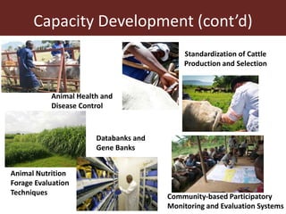 Overview of International Livestock Research (ILRI) activities in Ethiopia