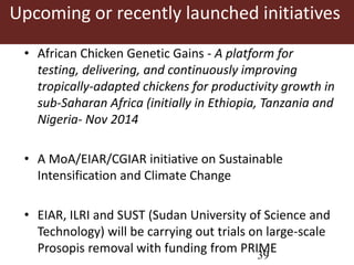 Overview of International Livestock Research (ILRI) activities in Ethiopia