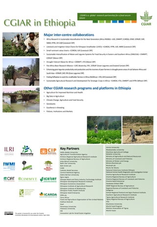 CGIAR in Ethiopia
Key Partners
Addis Ababa University
Agricultural Transformation Agency
Amhara Regional Agricultural Research Institute
Amhara Regional Bureau of Agriculture
Arba Minch University
Bahir Dar University
Bale Green plc
CARE
Catholic Relief Services
Central Statistical Agency
Debre Berhan University
Egna Legna
Ethiopia Meat and Dairy Industry Technology Institute
Ethiopian Development Research Institute
Ethiopian Economics Association
Ethiopian Institute of Agricultural Research
Ethiopian Institute of Biodiversity
Ethiopian Public Health Institute
Ethiopian Seed Enterprise
EZRA plc
Farm Africa
Food and Agriculture Organization of the United Nations
Gadissa Seed plc
Goal
Haramaya University
Hawassa University
iDE
Innovation Lab for Small Scale Irrigation
Jimma University
Madawolabu university
Maichew Agricultural College
Mekelle University
Ministry of Agriculture and Natural Resources
Ministry of Livestock and Fisheries
Ministry of Water and Energy
Minora Business plc
Mulunah plc
Mums for Mums
National Veterinary Institute Ethiopia
National Animal Health Diagnostic and Investigation Center
Oromia Agricultural Research Institute
Oromia Regional Bureau of Agriculture
Oromia Regional Bureau of Livestock and Fisheries
Oromia Seed Enterprise
Sasakawa Global 2000
SNNP Regional Bureau of Agriculture
Regional Bureau of Livestock and Fisheries
Solagrow
Somali Regional Pastoral and Agro Pastoral Institute
Southern Agricultural Research Institute
Tigray Agricultural Research Institute
Tigray Regional Bureau of Agriculture
Vita
Wachemo University
World Food Program
Women Association of Tigray
World Vision
CGIAR is a global research partnership for a food secure
future
Major inter-centre collaborations
• Africa Research In Sustainable Intensification for the Next Generation (Africa RISING)—ILRI, CIMMYT, ICARDA, ICRAF, ICRISAT, CIAT,
IWMI, IFPRI, CIP, EIAR [Livestock CRP]
• Livestock and Irrigation Value Chains for Ethiopian Smallholder (LIVES)—ICARDA, IFPRI, ILRI, IWMI [Livestock CRP]
• Small ruminant value chains—ICARDA, ILRI [Livestock CRP]
• Sustainable Intensification of Maize and Legume Systems for Food Security in Eastern and Southern Africa (SIMLESA)—CIMMYT,
ICRISAT [Maize CRP]
• Drought Tolerant Maize for Africa—CIMMYT, IITA [Maize CRP]
• Pan-Africa Bean Research Alliance—CIAT, Bioversity, IITA , ICRISAT [Grain Legumes and Dryland Cereals CRP]
• Enhancinggrainlegumesproductivityandproductionandtheincomesofpoorfarmersindrought-proneareasofsub-SaharanAfricaand
SouthAsia—ICRISAT,CIAT,IITA[GrainLegumesCRP]
• PuttingN2fixationtoworkforsmallholderfarmersinAfrica(N2Africa)—IITA,ILRI[LivestockCRP]
• Sustainable Agricultural Research and Development for Strategic Crops in Africa—ICARDA, IITA, CIMMYT and IFPRI [Wheat CRP]
Other CGIAR research programs and platforms in Ethiopia
• Agriculture for Improved Nutrition and Health
• Big Data in Agriculture
• Climate Change, Agriculture and Food Security
• Genebanks
• Excellence in Breeding
• Policies, Institutions and Markets
This poster is licensed for use under the Creative
Commons Attribution 4.0 International Licence. April 2018
 