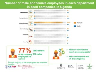 Gender dynamics in formal seed systems in Sub-Saharan Africa and worldwide lessons