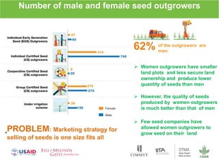 Gender dynamics in formal seed systems in Sub-Saharan Africa and worldwide lessons