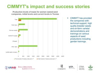 Gender dynamics in formal seed systems in Sub-Saharan Africa and worldwide lessons