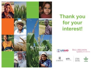 Gender dynamics in formal seed systems in Sub-Saharan Africa and worldwide lessons