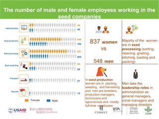 Gender dynamics in formal seed systems in Sub-Saharan Africa and worldwide lessons