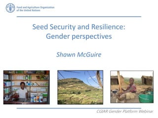 Seed Security and Resilience:
Gender perspectives
Shawn McGuire
CGIAR Gender Platform Webinar
 