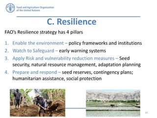 Seed security and resilience: Gender perspectives