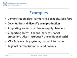 Seed security and resilience: Gender perspectives