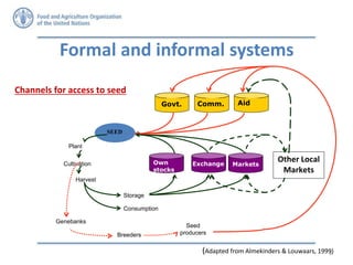 Seed security and resilience: Gender perspectives