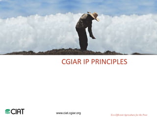 CGIAR IP PRINCIPLES




www.ciat.cgiar.org
                     Eco-Efficient Agriculture for the Poor
 