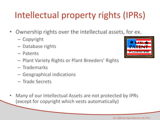 CGIAR IP principles