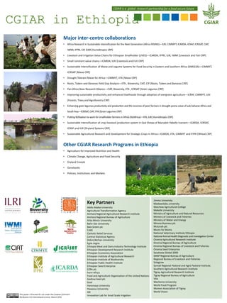 CGIAR in Ethiopia
Key Partners
Addis Ababa University
Agricultural Transformation Agency
Amhara Regional Agricultural Research Institute
Amhara Regional Bureau of Agriculture
Arba Minch University
Bahir Dar University
Bale Green plc
CARE
Catholic Relief Services
Central Statistical Agency
Debre Berhan University
Egna Legna
Ethiopia Meat and Dairy Industry Technology Institute
Ethiopian Development Research Institute
Ethiopian Economics Association
Ethiopian Institute of Agricultural Research
Ethiopian Institute of Biodiversity
Ethiopian Public Health Institute
Ethiopian Seed Enterprise
EZRA plc
Farm Africa
Food and Agriculture Organization of the United Nations
Gadissa Seed plc
Goal
Haramaya University
Hawassa University
iDE
Innovation Lab for Small Scale Irrigation
Jimma University
Madawolabu university
Maichew Agricultural College
Mekelle University
Ministry of Agriculture and Natural Resources
Ministry of Livestock and Fisheries
Ministry of Water and Energy
Minora Business plc
Mulunah plc
Mums for Mums
National Veterinary Institute Ethiopia
National Animal Health Diagnostic and Investigation Center
Oromia Agricultural Research Institute
Oromia Regional Bureau of Agriculture
Oromia Regional Bureau of Livestock and Fisheries
Oromia Seed Enterprise
Sasakawa Global 2000
SNNP Regional Bureau of Agriculture
Regional Bureau of Livestock and Fisheries
Solagrow
Somali Regional Pastoral and Agro Pastoral Institute.
Southern Agricultural Research Institute
Tigray Agricultural Research Institute
Tigray Regional Bureau of Agriculture
Vita
Wachemo University
World Food Program
Women Association of Tigray
World Vision
CGIAR is a global research partnership for a food secure future
Major inter-centre collaborations
• Africa Research In Sustainable Intensification for the Next Generation (Africa RISING)—ILRI, CIMMYT, ICARDA, ICRAF, ICRISAT, CIAT,
IWMI, IFPRI, CIP, EIAR [Humidtropics CRP]
• Livestock and Irrigation Value Chains for Ethiopian Smallholder (LIVES)—ICARDA, IFPRI, ILRI, IWMI [Livestock and Fish CRP]
• Small ruminant value chains—ICARDA, ILRI [Livestock and Fish CRP]
• Sustainable Intensification of Maize and Legume Systems for Food Security in Eastern and Southern Africa (SIMLESA)—CIMMYT,
ICRISAT [Maize CRP]
• Drought Tolerant Maize for Africa—CIMMYT, IITA [Maize CRP]
• Roots, Tubers and Bananas Yield Gap Analysis—IITA , Bioversity, CIAT, CIP [Roots, Tubers and Bananas CRP]
• Pan-Africa Bean Research Alliance—CIAT, Bioversity, IITA , ICRISAT [Grain Legumes CRP]
• Improving sustainable productivity and enhanced livelihoods through adoption of evergreen agriculture—ICRAF, CIMMYT, ILRI
[Forests, Trees and Agroforestry CRP]
• Enhancing grain legumes productivity and production and the incomes of poor farmers in drought-prone areas of sub-Saharan Africa and
South Asia—ICRISAT, CIAT, IITA [Grain Legumes CRP]
• Putting N2fixation to work for smallholder farmers in Africa (N2Africa)—IITA, ILRI [Humidtropics CRP]
• Sustainable intensification of crop-livestock production system in East Shewa of Marsabit–Yabello transect—ICARDA, ICRISAT,
ICRAF and ILRI [Dryland Systems CRP]
• Sustainable Agricultural Research and Development for Strategic Crops in Africa—ICARDA, IITA, CIMMYT and IFPRI [Wheat CRP]
Other CGIAR Research Programs in Ethiopia
• Agriculture for Improved Nutrition and Health
• Climate Change, Agriculture and Food Security
• Dryland Cereals
• Genebanks
• Policies, Institutions and Markets
This poster is licensed for use under the Creative Commons
Attribution 4.0 International Licence. March 2016
 