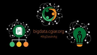 CGIAR Platform for Big Data in Agriculture