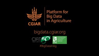 CGIAR Platform for Big Data in Agriculture