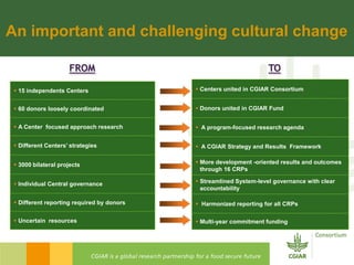 Cgiar presentation  cpc october 29