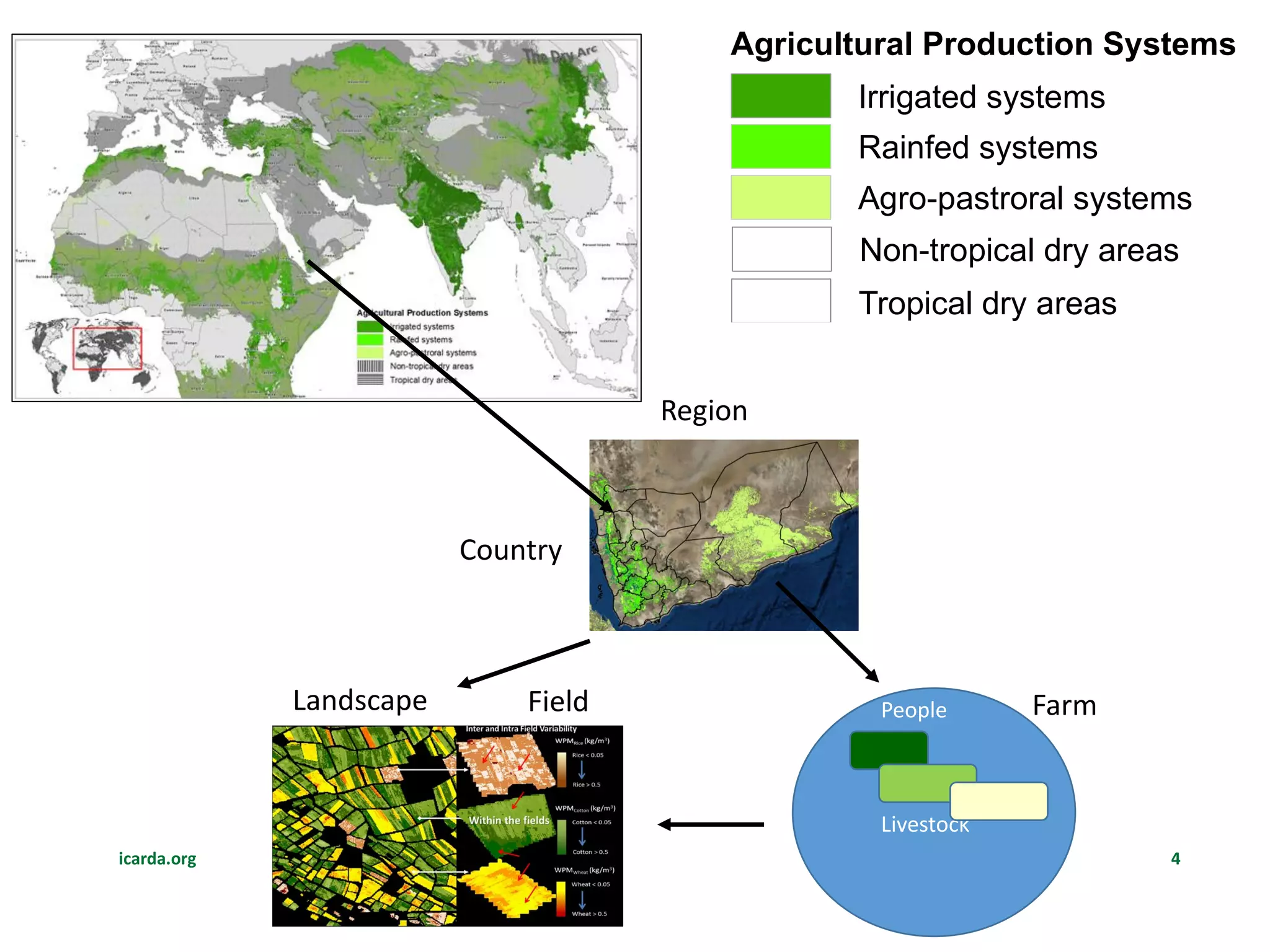 icarda.org 4
People
Livestock
Country
Region
FieldLandscape Farm
Tropical dry areas
Agro-pastroral systems
Rainfed systems
Irrigated systems
Non-tropical dry areas
Agricultural Production Systems
 