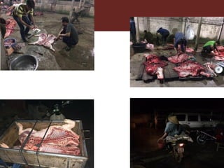 CGIAR Research Program on Agriculture for Improved Nutrition and Health