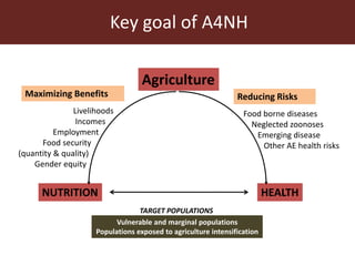 CGIAR Research Program on Agriculture for Improved Nutrition and Health